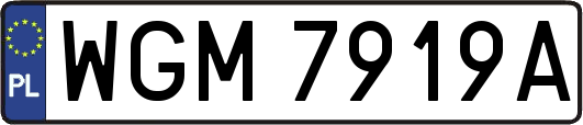WGM7919A