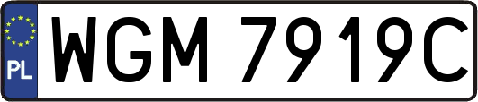 WGM7919C