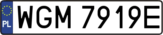 WGM7919E
