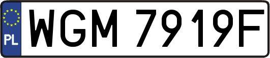 WGM7919F