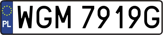 WGM7919G