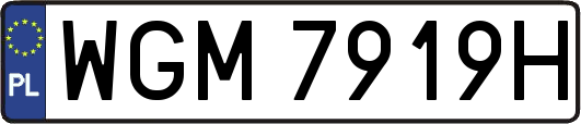 WGM7919H