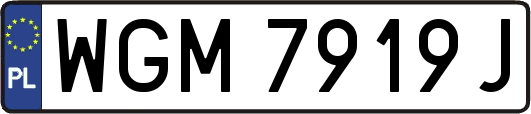 WGM7919J