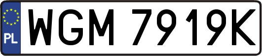 WGM7919K