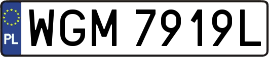 WGM7919L