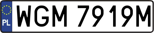 WGM7919M