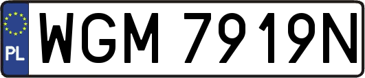 WGM7919N