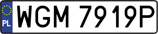WGM7919P