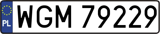 WGM79229