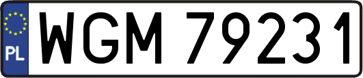 WGM79231