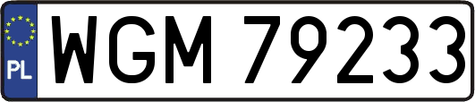 WGM79233