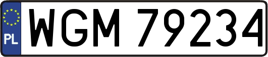 WGM79234