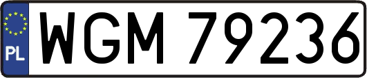 WGM79236
