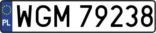 WGM79238