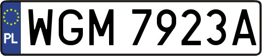 WGM7923A