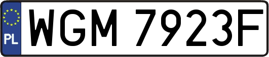 WGM7923F