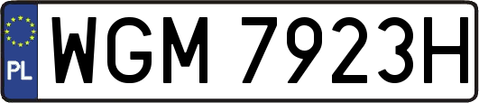 WGM7923H