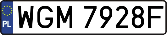 WGM7928F
