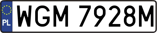 WGM7928M