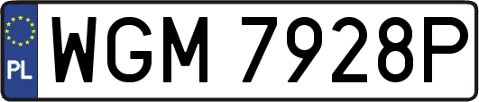 WGM7928P