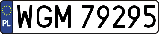WGM79295