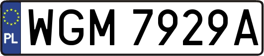 WGM7929A