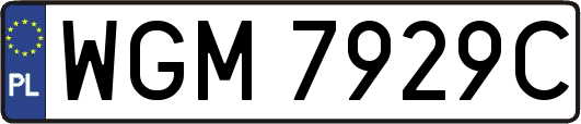 WGM7929C