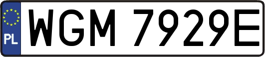 WGM7929E