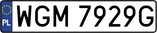 WGM7929G