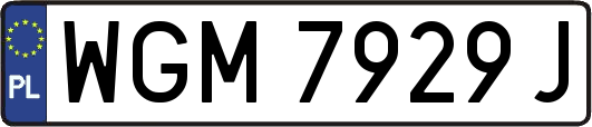 WGM7929J