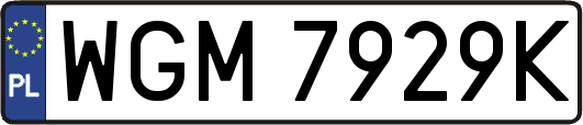 WGM7929K