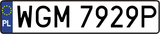 WGM7929P