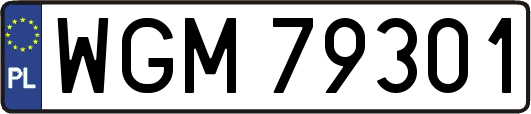 WGM79301
