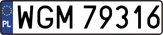 WGM79316