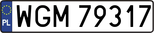 WGM79317