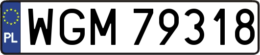 WGM79318