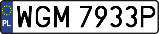 WGM7933P