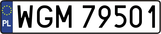 WGM79501