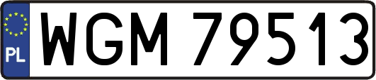 WGM79513