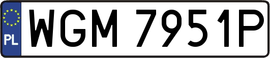 WGM7951P