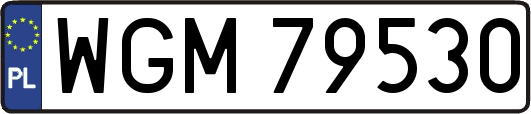 WGM79530