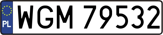WGM79532