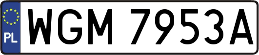 WGM7953A