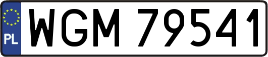 WGM79541