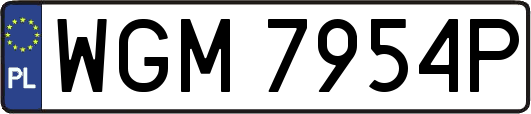 WGM7954P