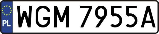 WGM7955A