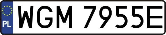WGM7955E