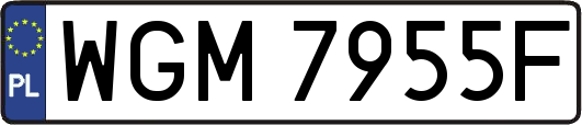 WGM7955F