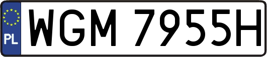 WGM7955H