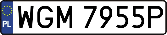 WGM7955P